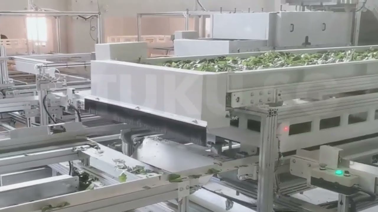 Sericulture Automated Leaves Feeding