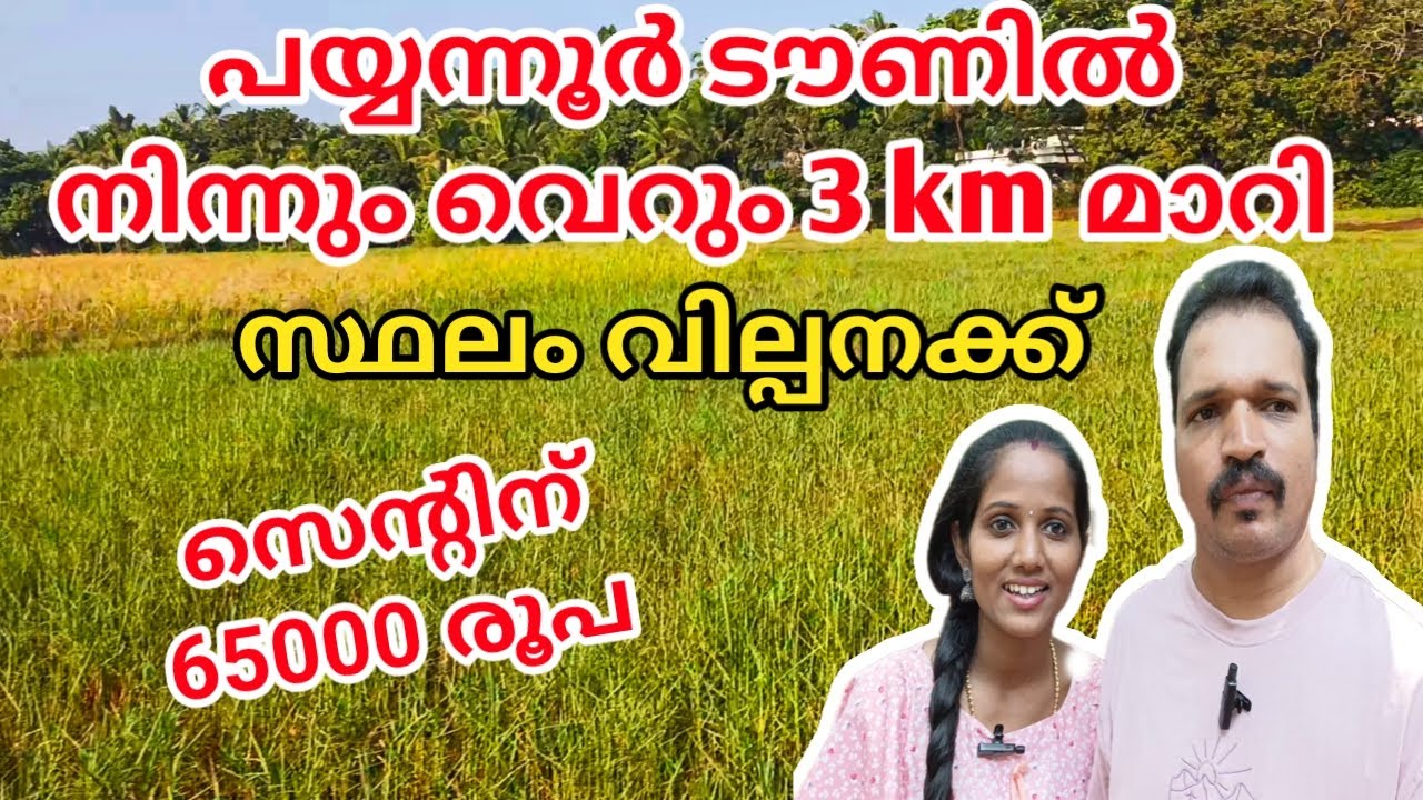 LAND FOR SALE WITH IN 2 KM FORM PAYYANUR #hometour #trending #realestate #kerala #lowbudget