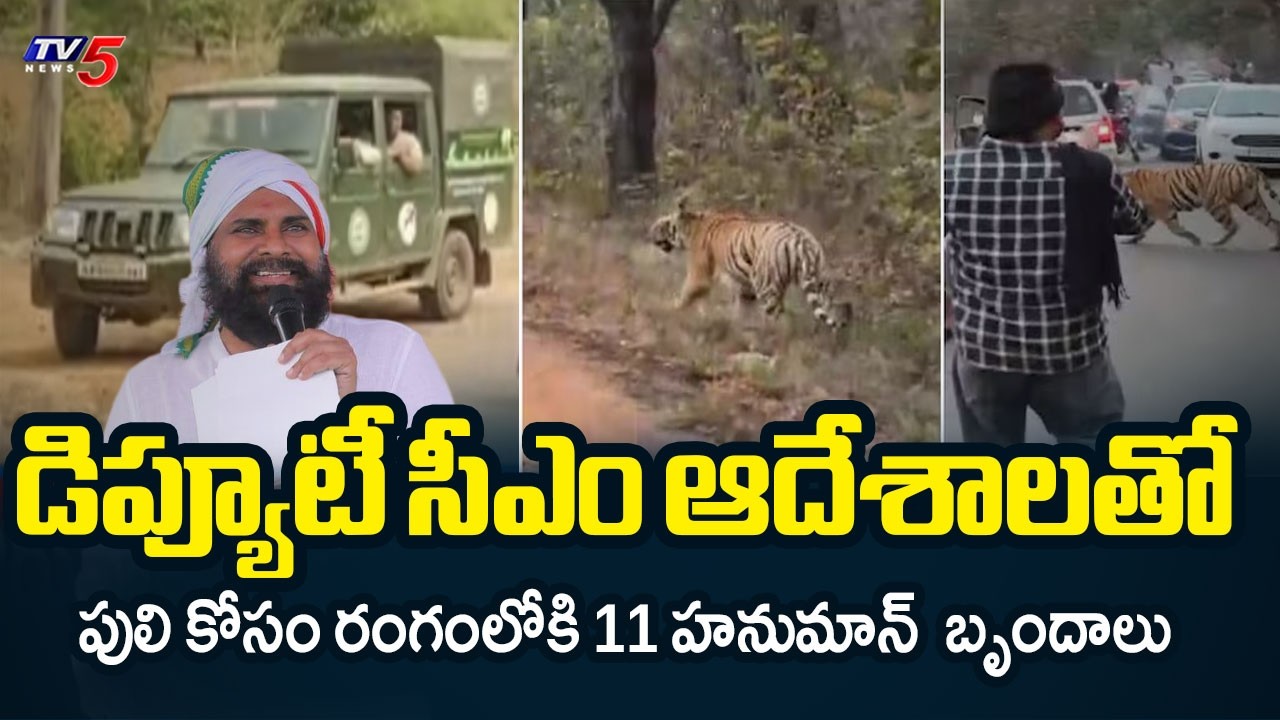 వదలని పులి భయం | Tiger Fear In Kakinada District | Prathipadu || TV5 News