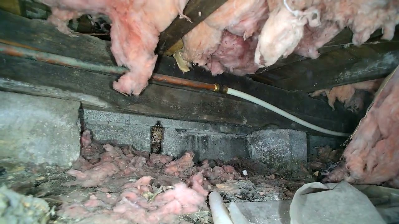 Fun Finds in a 1900s Crawlspace