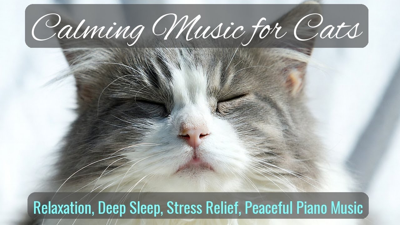 Calming Music for Cats - Relaxation, Deep Sleep, Stress Relief, Peaceful Piano Music | Season 27