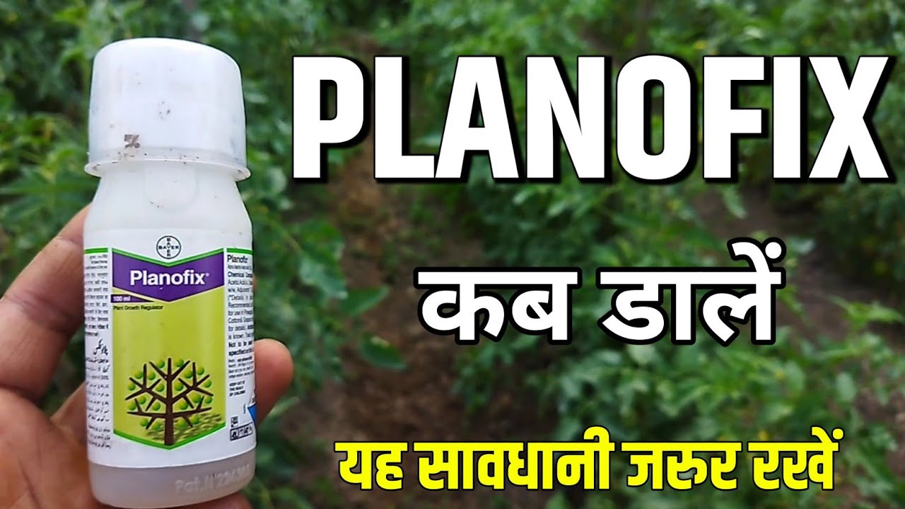 Planofix | Bayer Planofix | Bayer Planofix Technical | Planofix Plant growth regulator