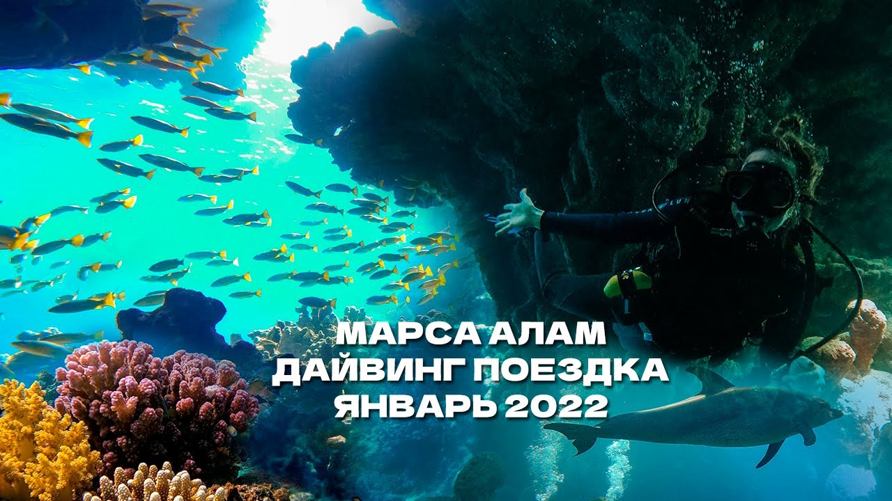 Путешествие в Марса Алам / Дайвинг в Египте / январь 2022