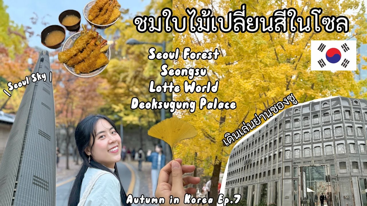 ชมใบไม้เปลี่ยนสีในโซล เดินเล่นย่านซองซู | เที่ยวเกาหลี KOREA AUTUMN VLOG EP.7