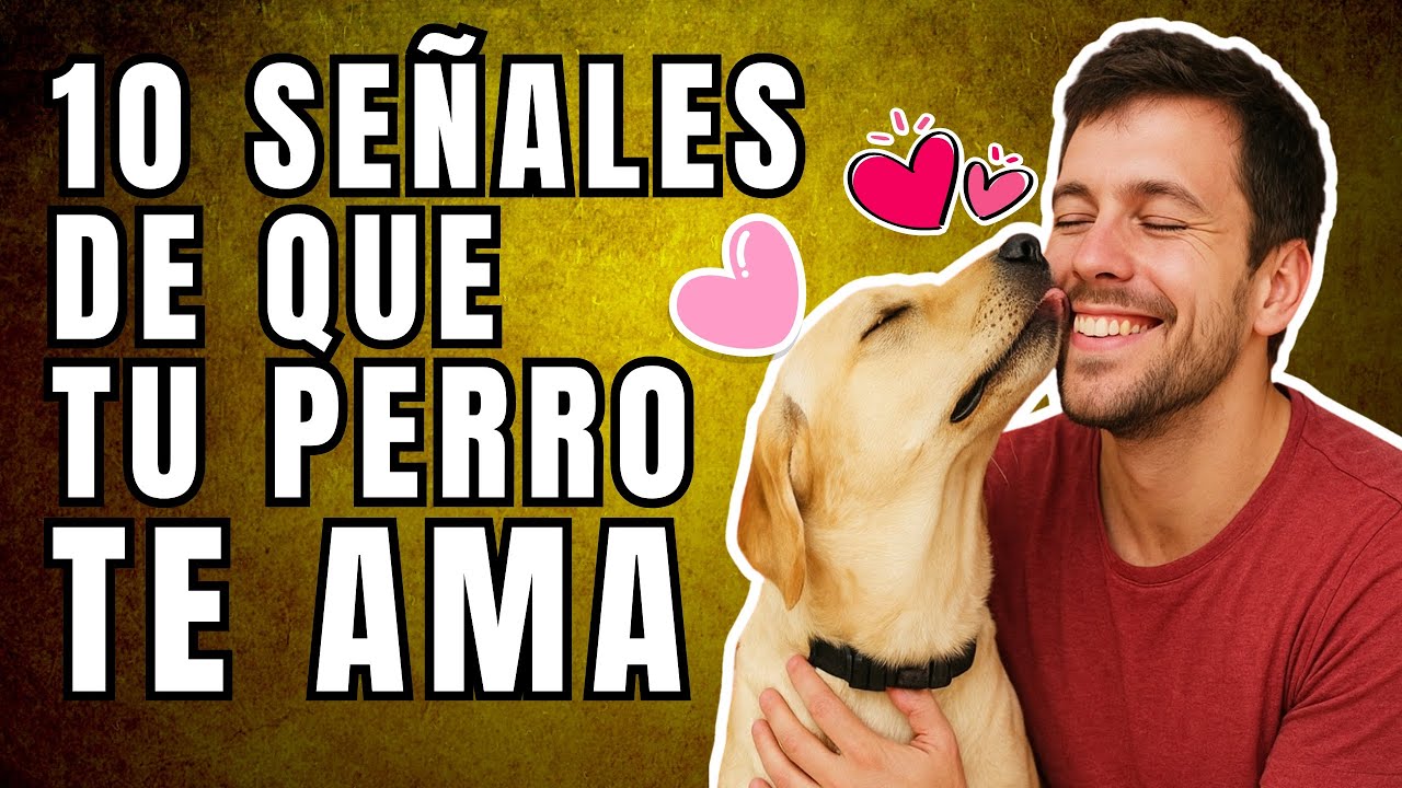 10 SEÑALES CLARAS de que tu PERRO REALMENTE te AMA ❤️ (¡La #7 te sorprenderá!)