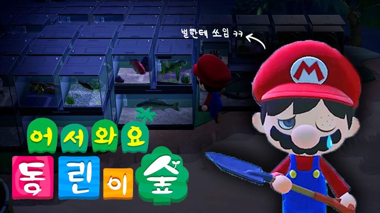 용룻 동숲 시작했습니다! 동린이의 모동숲 살아남기ㅣ모동숲 1일차
