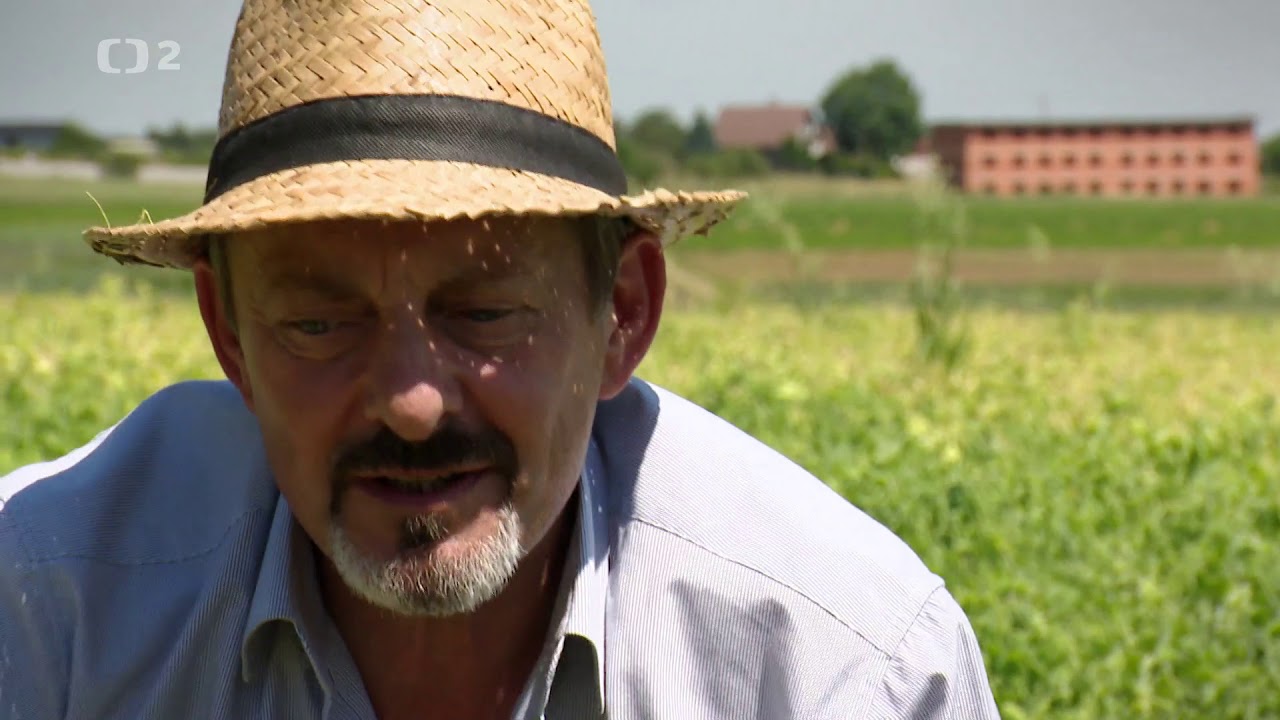 Trvalé bydliště venkov Jahody kam se podíváš