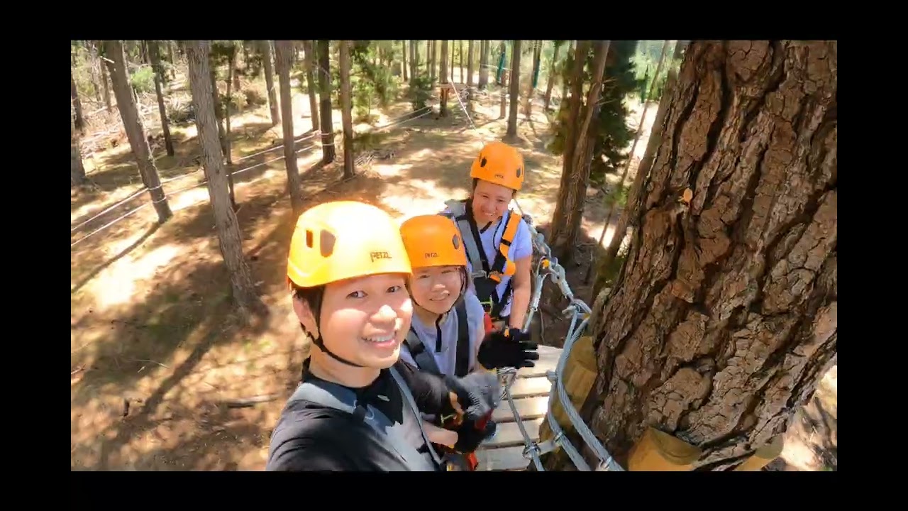 Treetops Adventure Park | Canberra 2024
