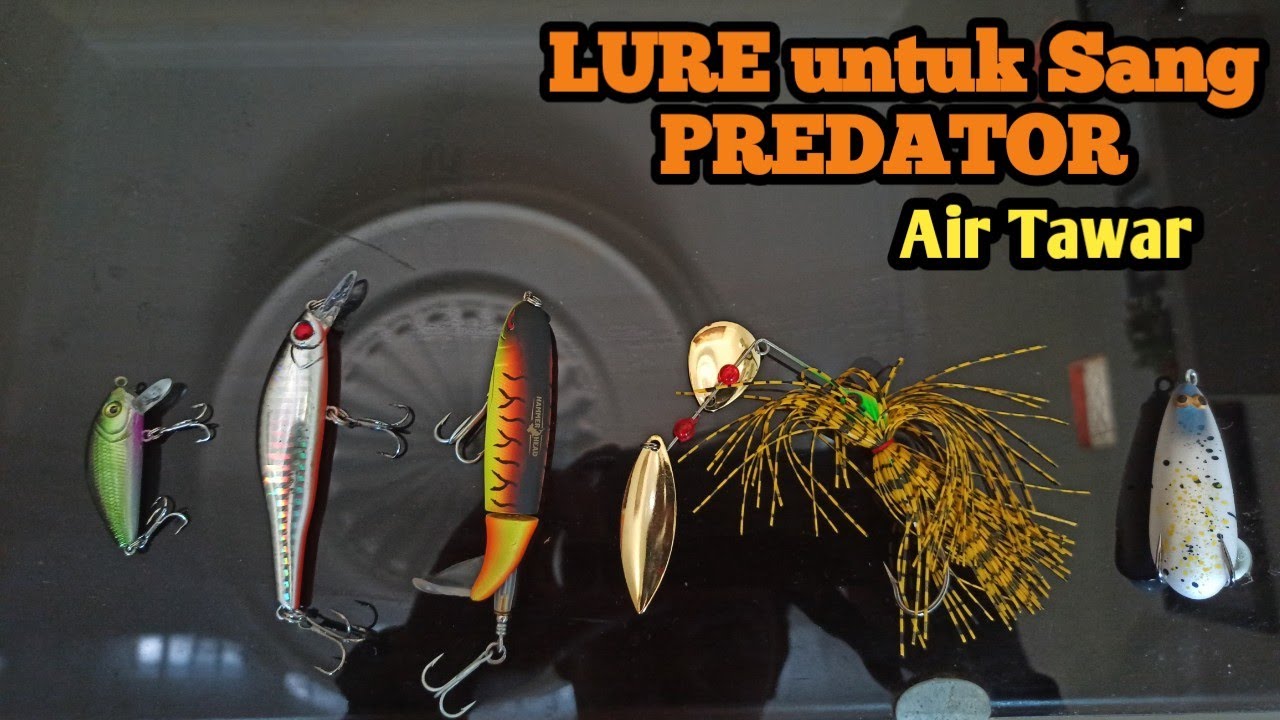 lurecasting II Riview lure baru , untuk predator air tawar