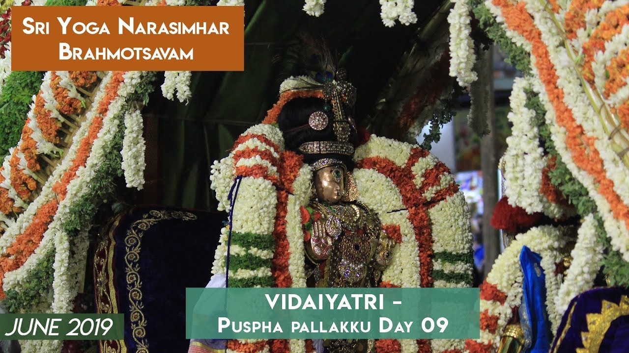 Pushpa Pallakku Purappadu - Vidaiyatri - Day 10 - Sri Theliya Singar Brahmotsavam - Thiruvallikeni