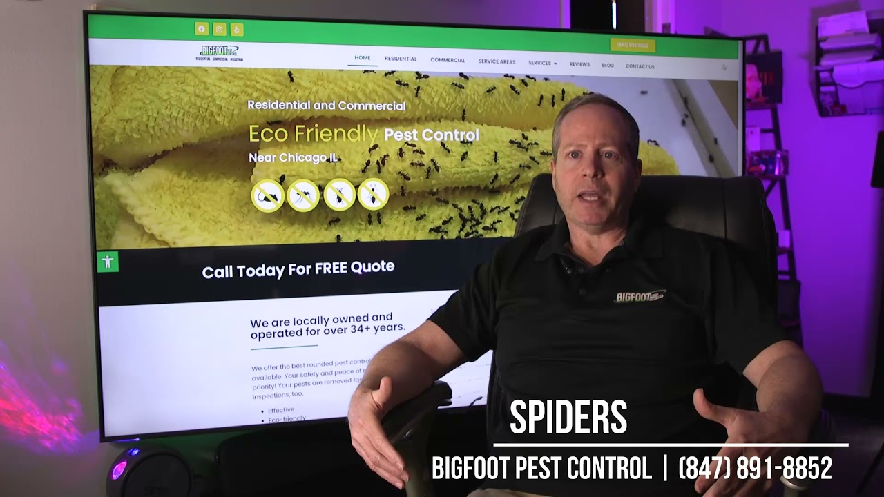 Spider Extermination - Bigfoot Pest Control