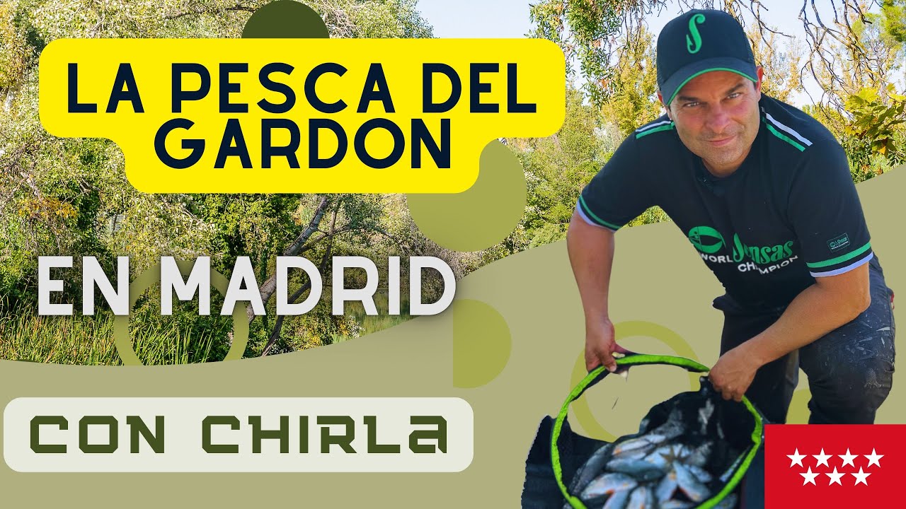 La pesca del gardon en Madrid ¿como pescarlo y donde?