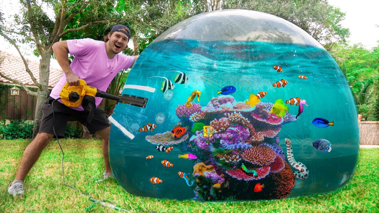 FIRST EVER BUBBLE BALL AQUARIUM! *fish inside!*