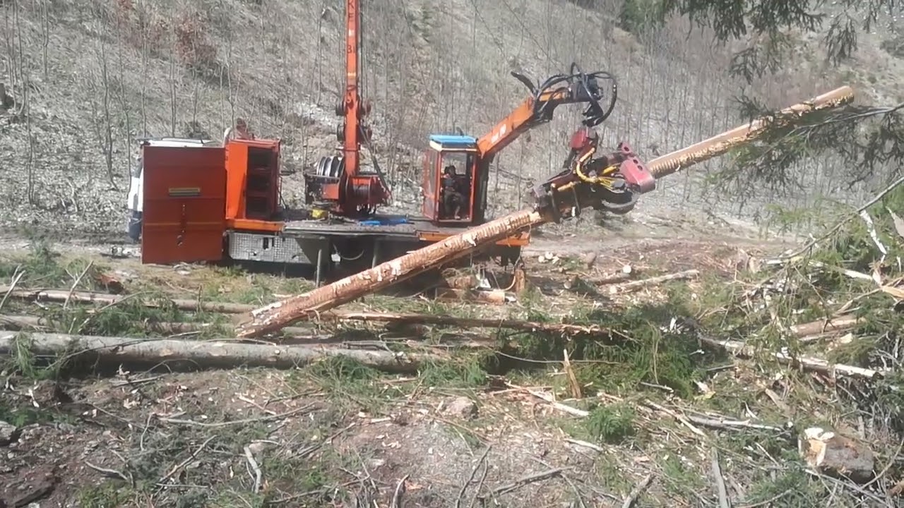 Tažba dreva🌲Lesna lanovka Syncrofalke 3t💪Dvojkubikove stromy💪Woody 60