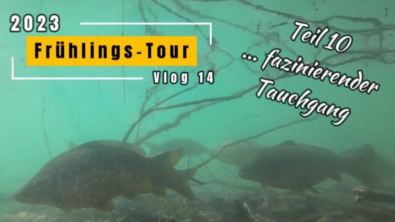 Spannender Tauchgang im Weitmannsee bei Königsbrunn  ... FINDUS auf neuer Abenteuertour am Lech!