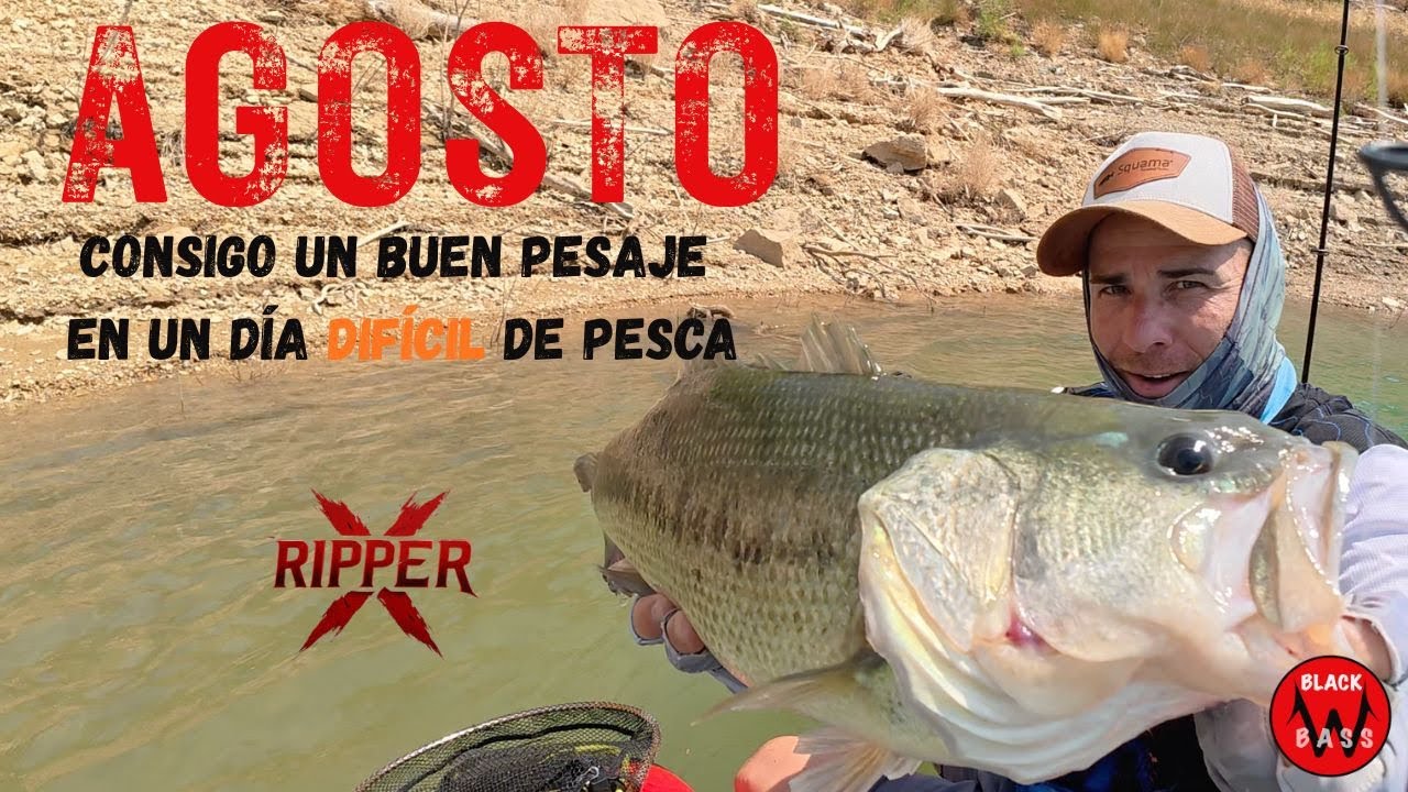 AGOSTO. CONSIGO UN BUEN PESAJE EN UN DÍA DIFÍCIL DE PESCA.