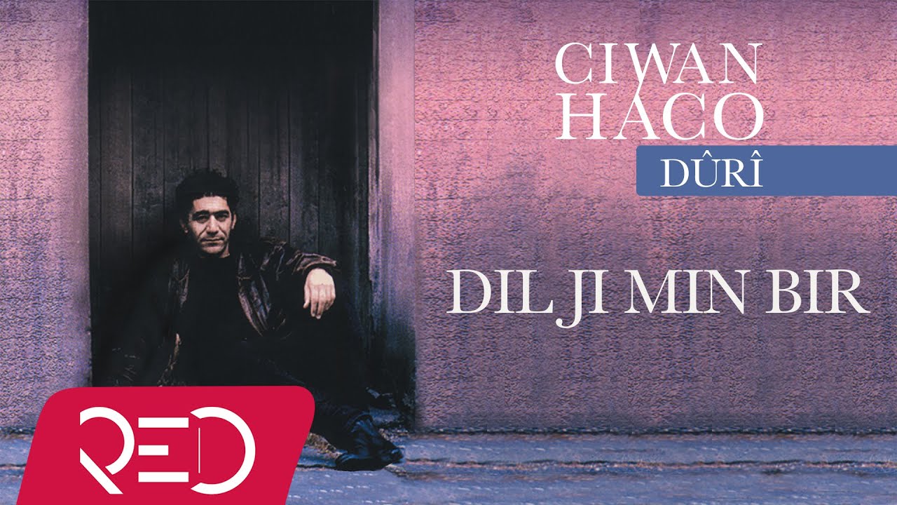 Ciwan Haco -  Dil Ji Min Bir [Official Audio]