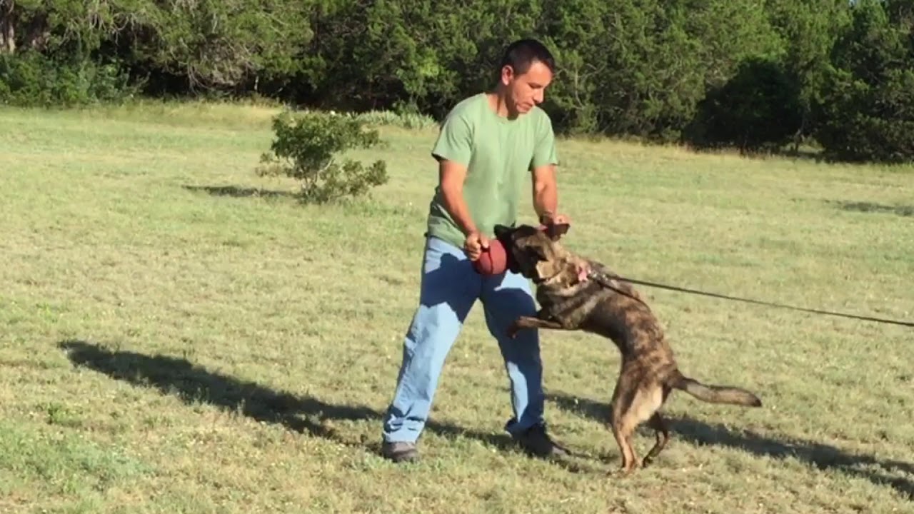 Bite training. How to improve a soft grip.