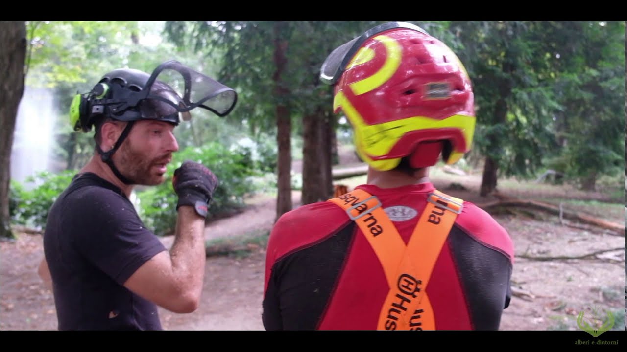 2M Giardini di Marco Di Nocera -  Intervento in tree climbing a Villa Cortellotto Comello