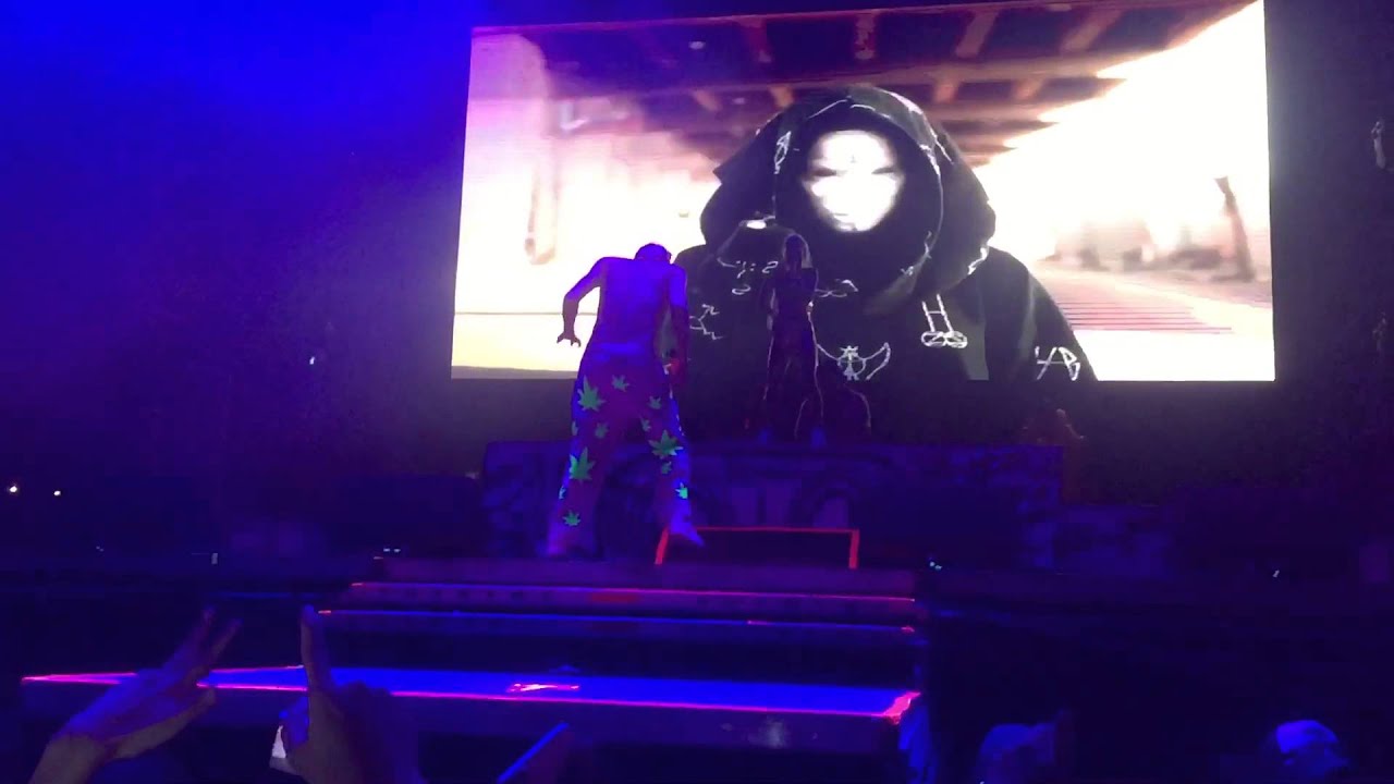 Die Antwoord - Pitbull Terrier Live Lollapalooza Chile 2016 (Ninja jumping to the public)