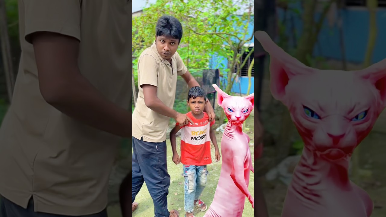 Raju and his brother dancing with cat  😺 