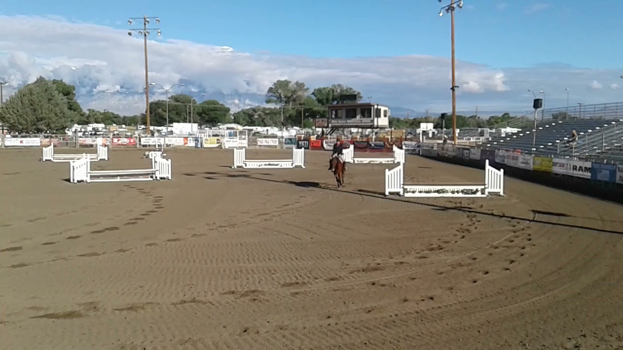 2018 world champion amateur working hunter bishop mule days