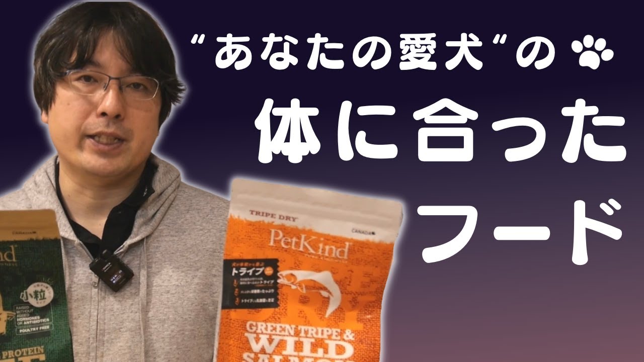 犬の体に合っているドッグフードって何だろう？？