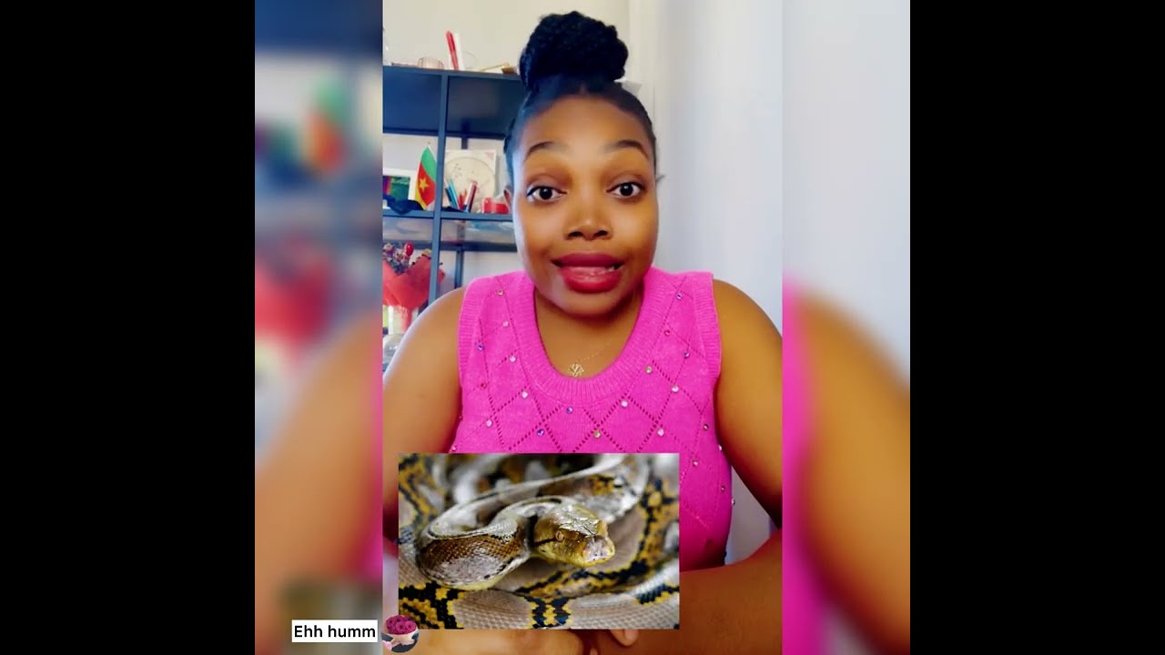 😳ILS ONT FAIT LE RITUEL DU PYTHON + SANG POUR PROTÉGER LEUR COUPLE ET SA TOURNE AU VINAIGRE SEIGNEUR