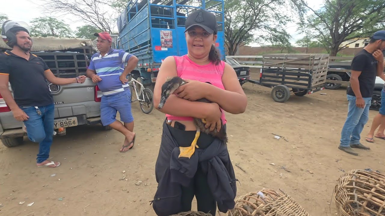 FEIRA DA GALINHA DE S.C.C-PE 09/03/2026 