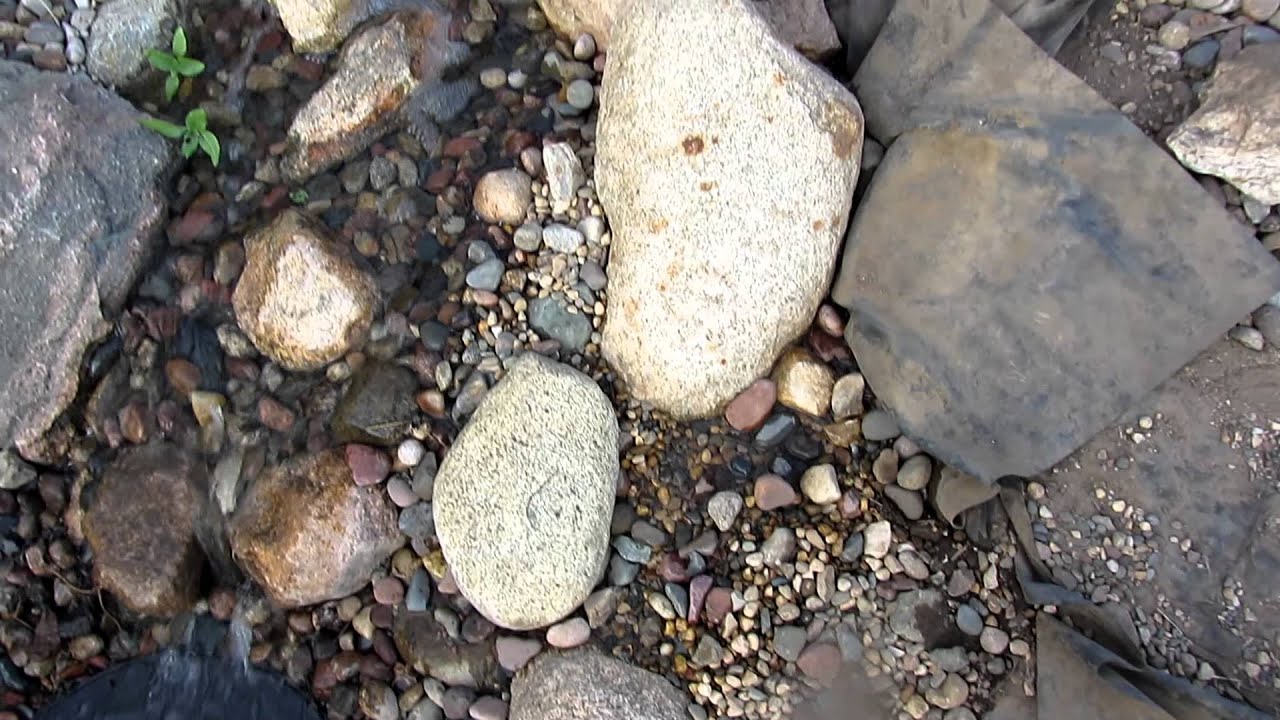 MVI_1717.MOV