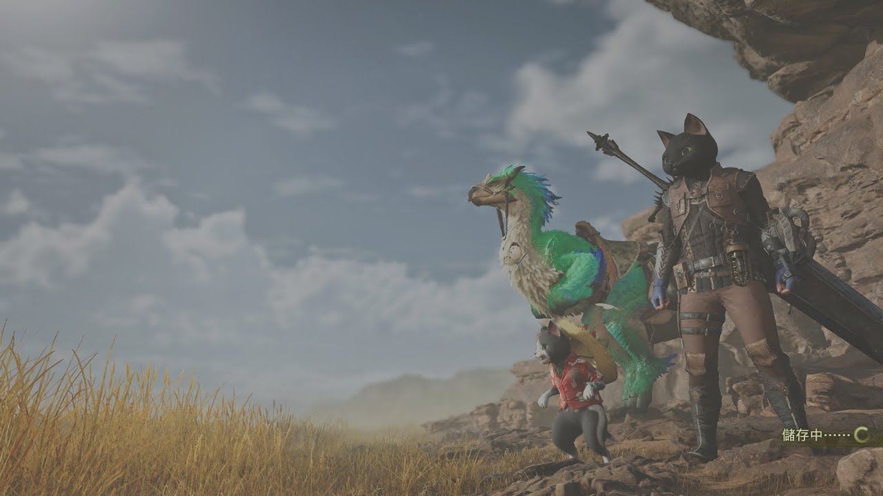 魔物獵人荒野（只是遊玩記錄）20260215