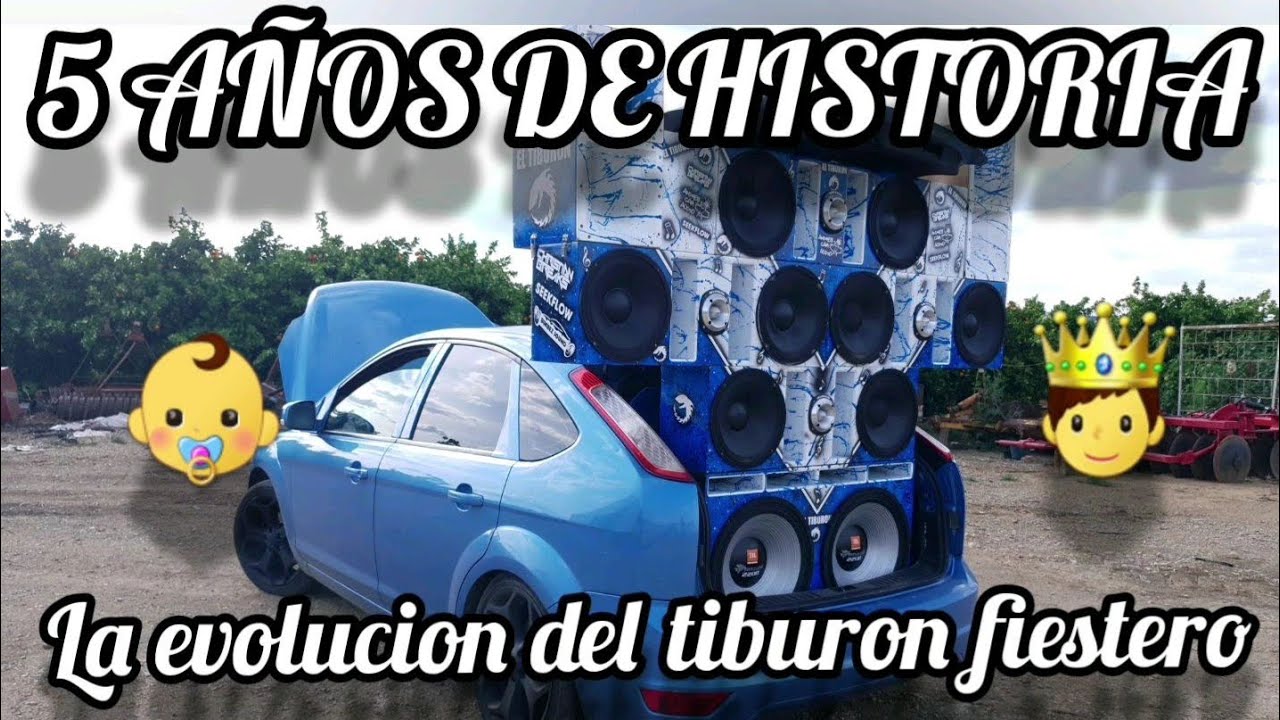 VÍDEO DOCUMENTAL || EVOLUCIÓN DEL TIBURÓN || 2015 - 2019