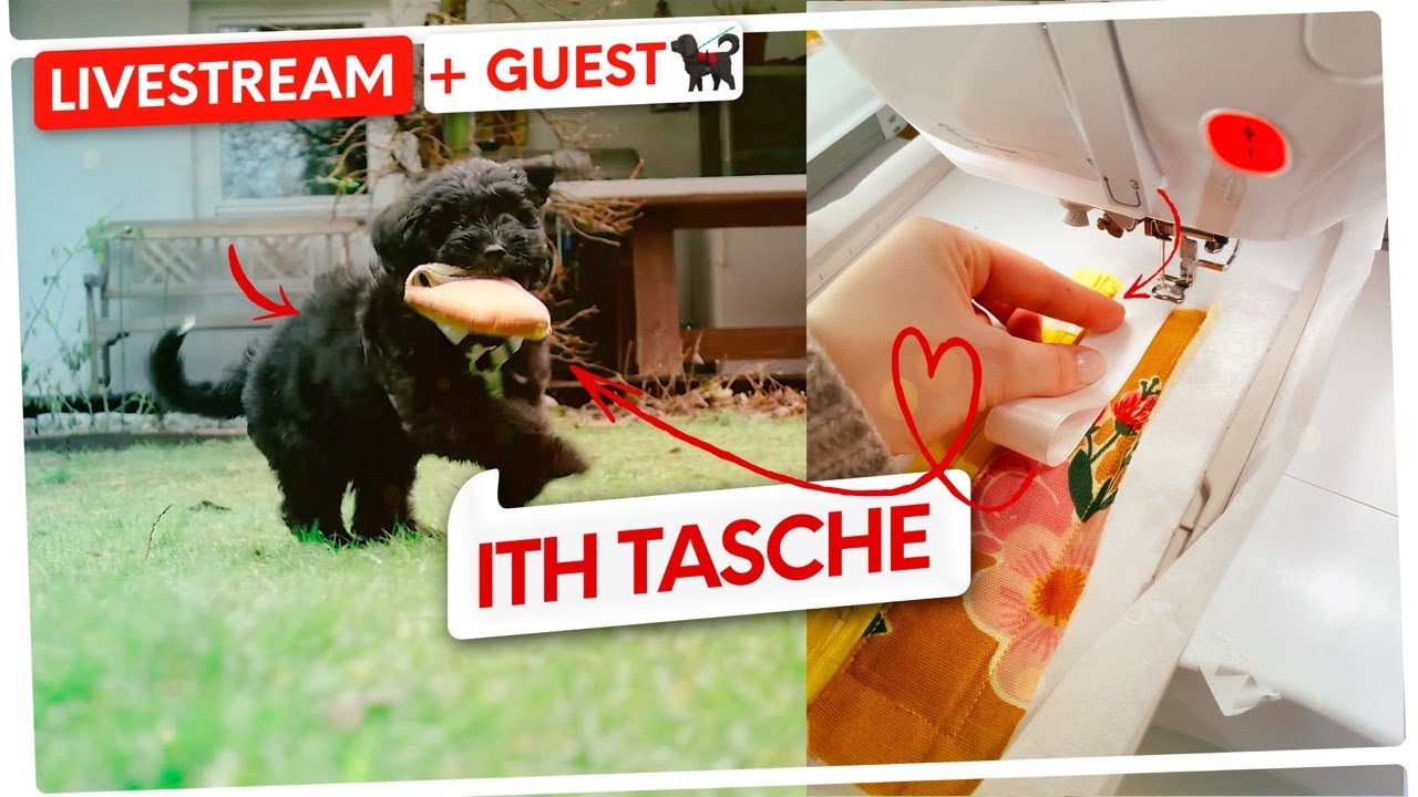 🔴🧵 #43 LIVE STICKEN: In the Hoop (ITH) Tasche MIT Reißverschluss nähen / sticken 🐕‍🦺