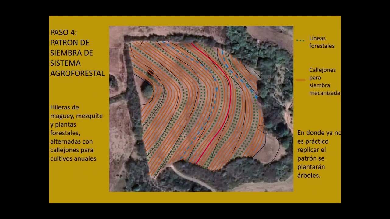 Dise&ntilde;o y realizaci&oacute;n de un patr&oacute;n de siembra key line (l&iacute;nea clave) Yanhuitl&aacute;n, Oaxaca.