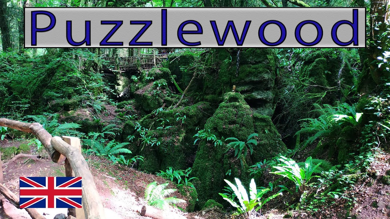 Puzzlewood Forest of Dean. Walk June 2019