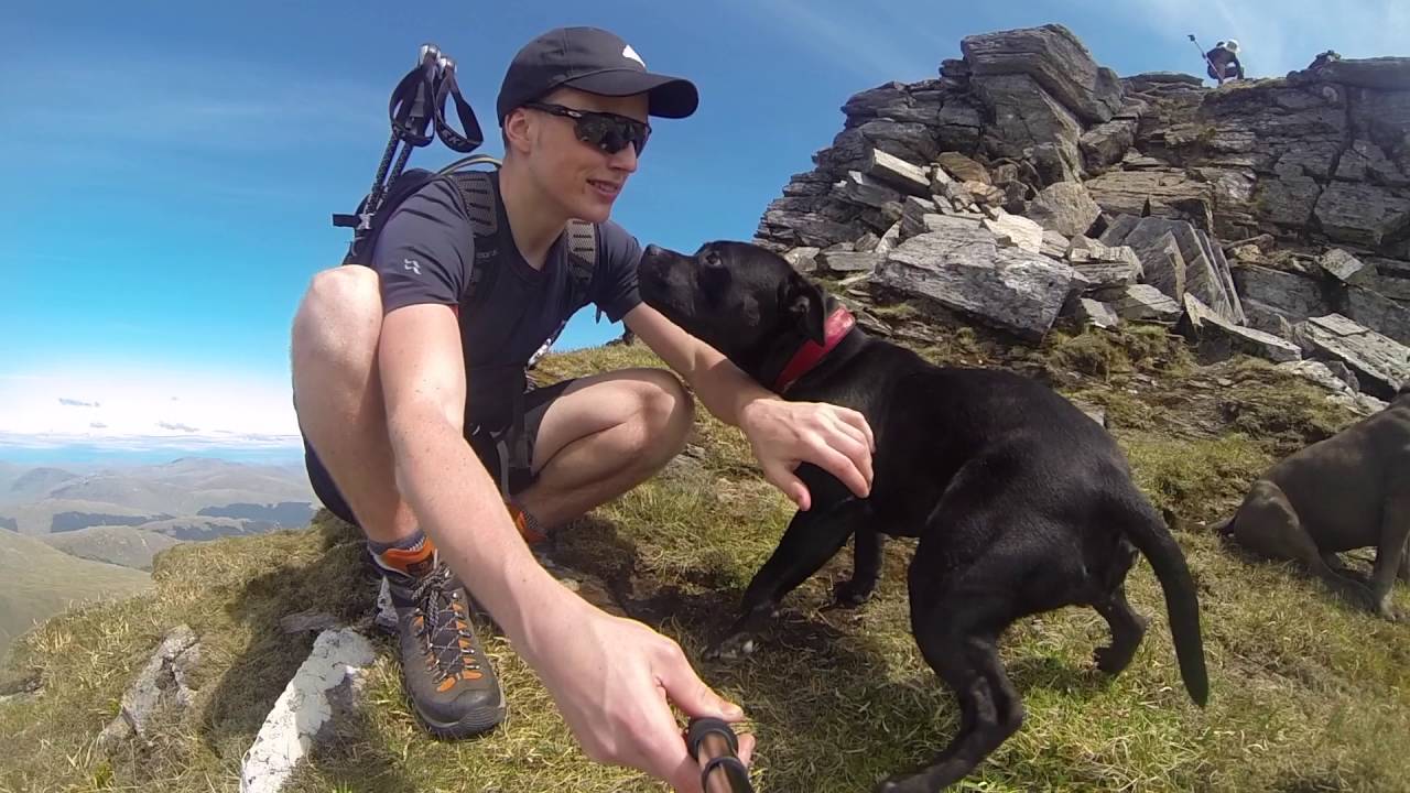 Three Staffies Climb A Scottish Mountain...feat. The Red Arrows