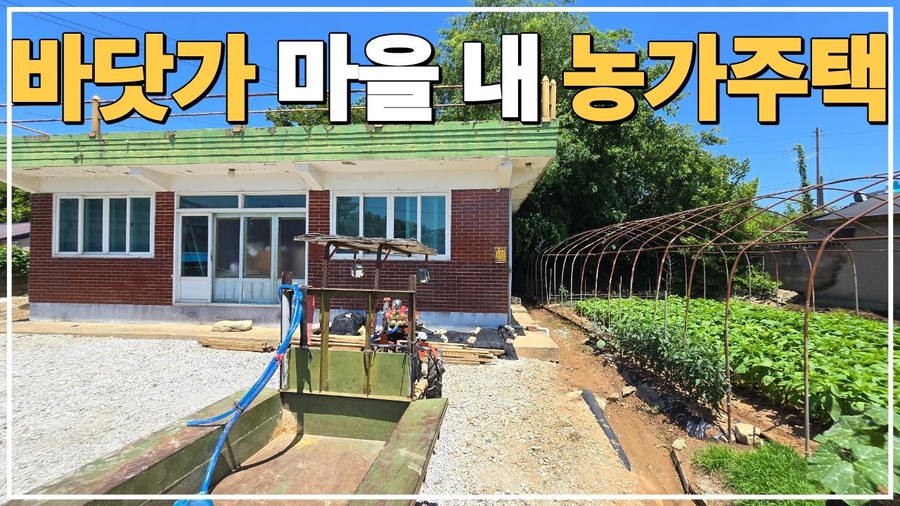 (No.826)걸어서 바다 갈 수 있는 바닷가 촌집 급매물 농가주택 급매매 합니다.