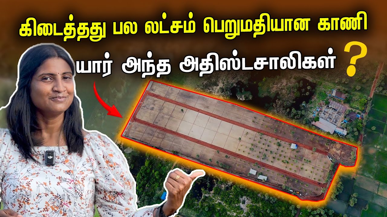யார் அந்த அதிஸ்டசாலிகள் 😲| குறைந்த விலையில் 🌴 பலலட்சம் காணி இலவசம்😲| Jaffna land sale | Tamil