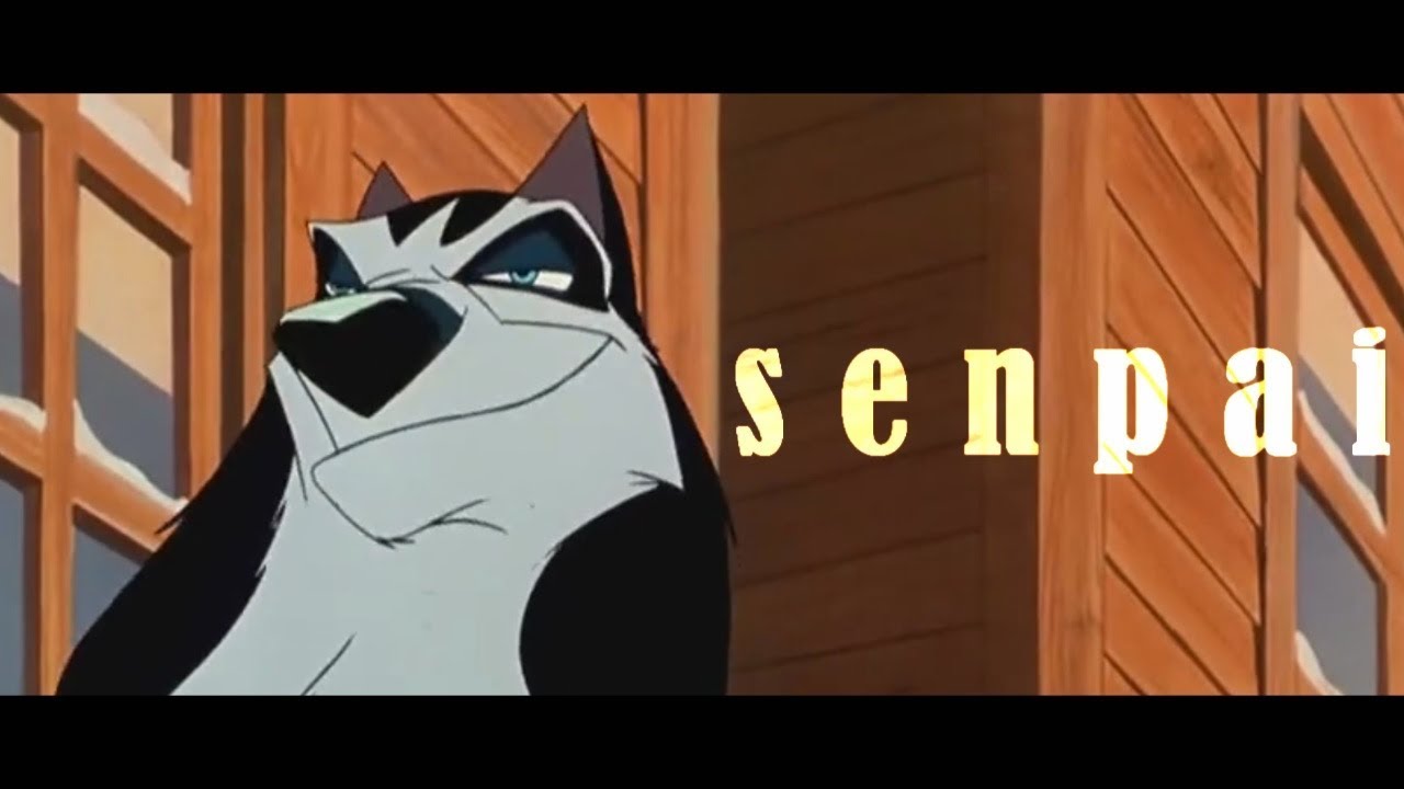 Balto\Steele-Notice Me, Senpai