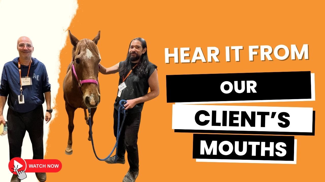 Hear how Equine Connection has helped men at the Calgary Dream Centre