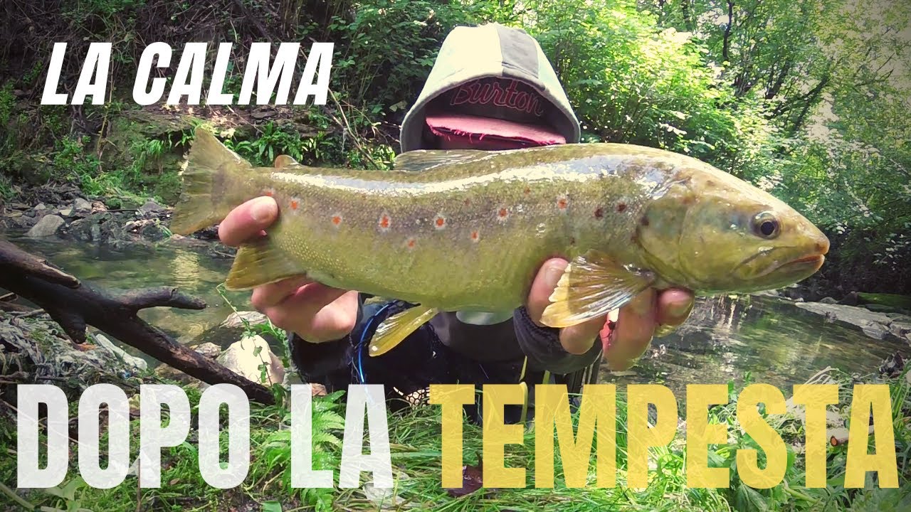 La calma dopo la tempesta | segreti per pescare le grandi trote |