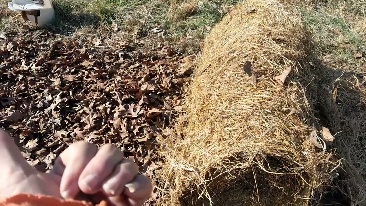 EP 237 bee cleaning flights and rolling hay