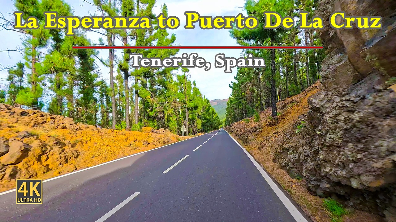 La Esperanza To Puerto De La Cruz In Tenerife, Spain | Scenic Road Trip In Stunning 4K | POV