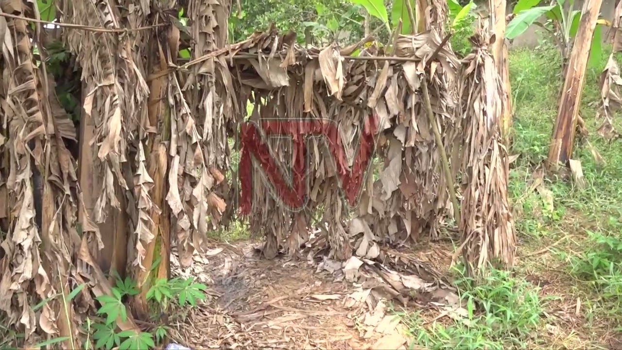 Police and Army withdraw from Kyagulanyi's residence after fleeing to US