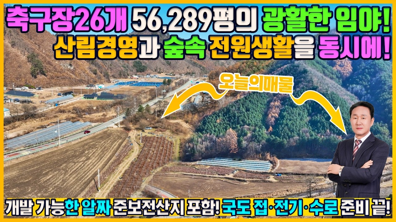 [매물번호 675] 강원도 홍천, 건축 가능한 '준보전산지'가 포함된 임야 서석면 어론리 산 임야매매, 산림경영과 전원생활을 동시에?