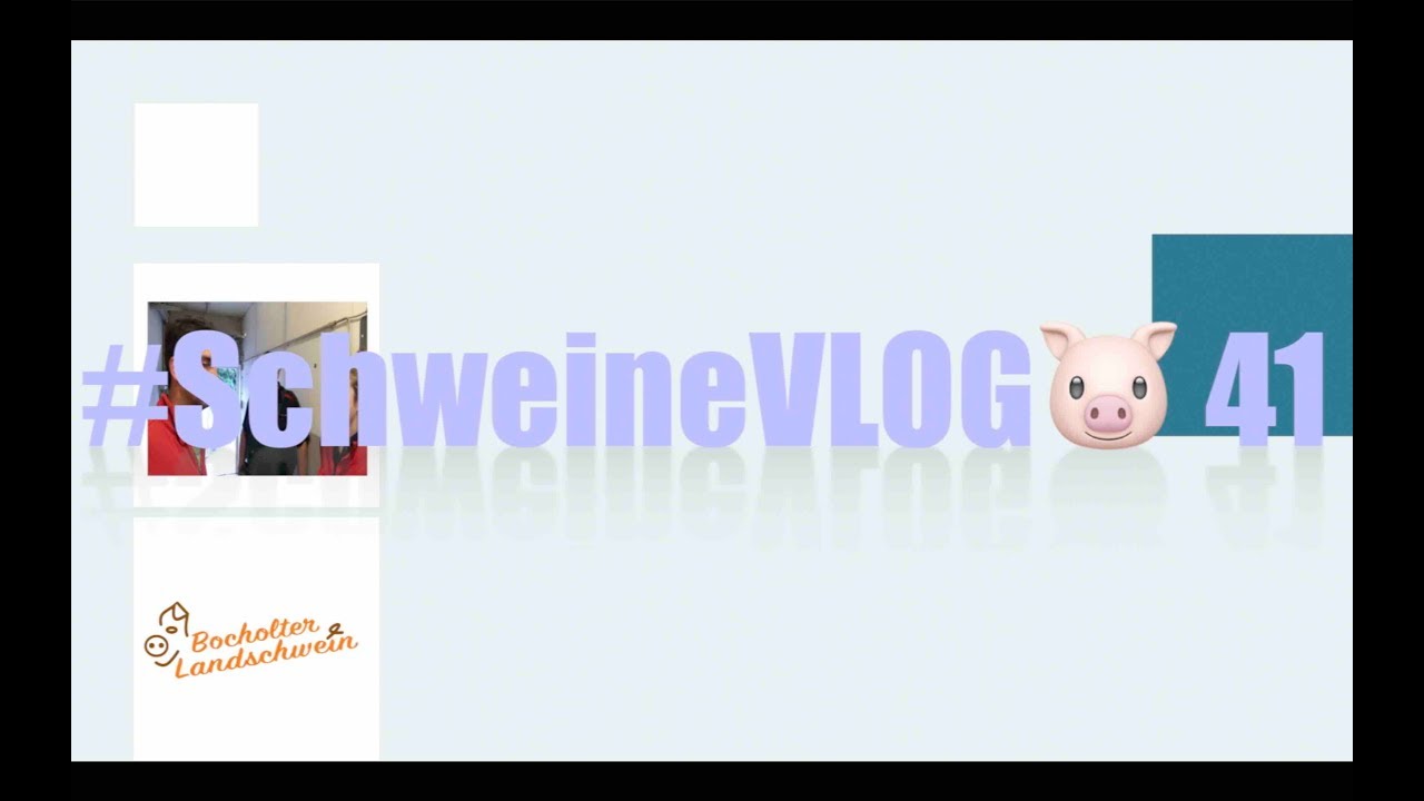 #SchweineVLOG🐷 41  Mastschweine verladen