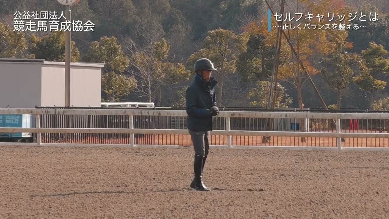 実馬を用いた育成技術講習会「セルフキャリッジとは　～正しくバランスを整える～」
