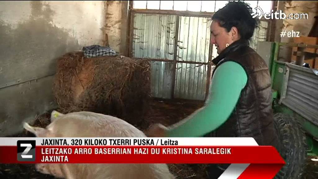Jaxinta txerria, San Tomas eguneko izarra!