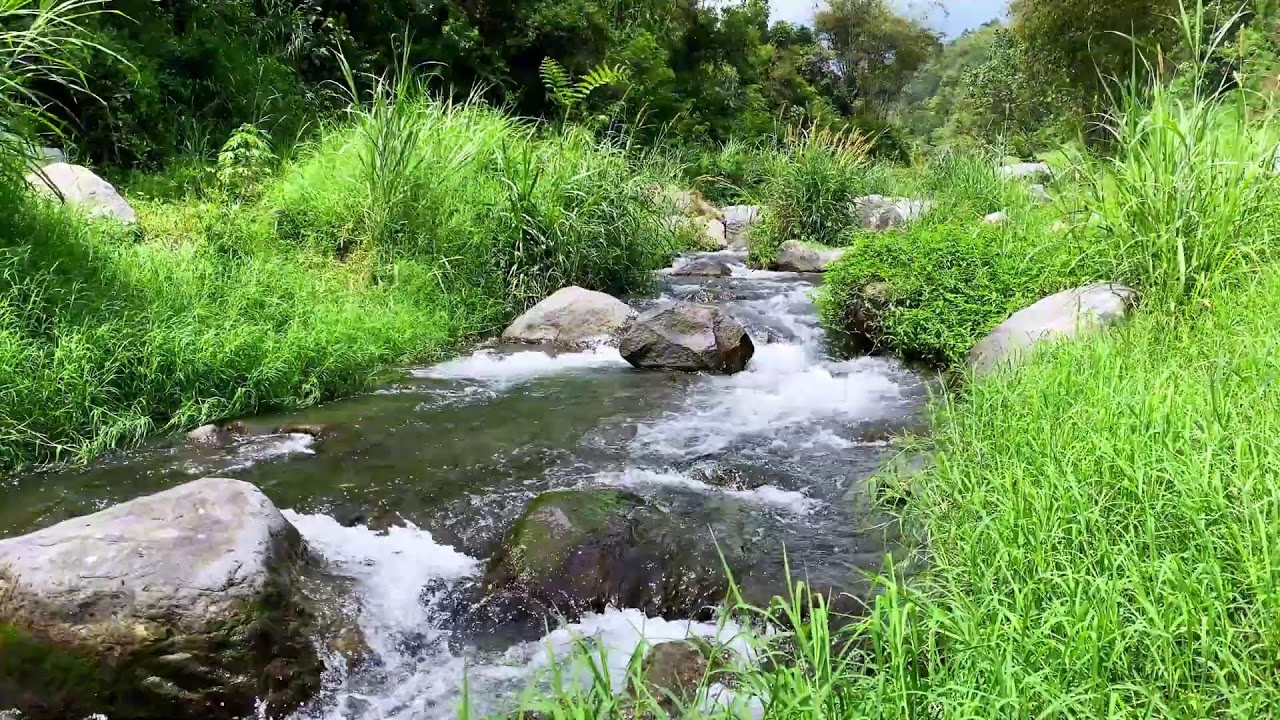 Tranquil River Flow – 10 Hours of Water ASMR  - Stress, Anxiety Relief & Meditation Sounds