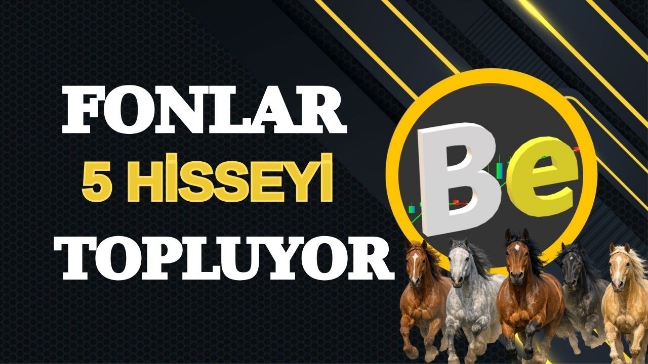 Fonların topladığı 5 hisse